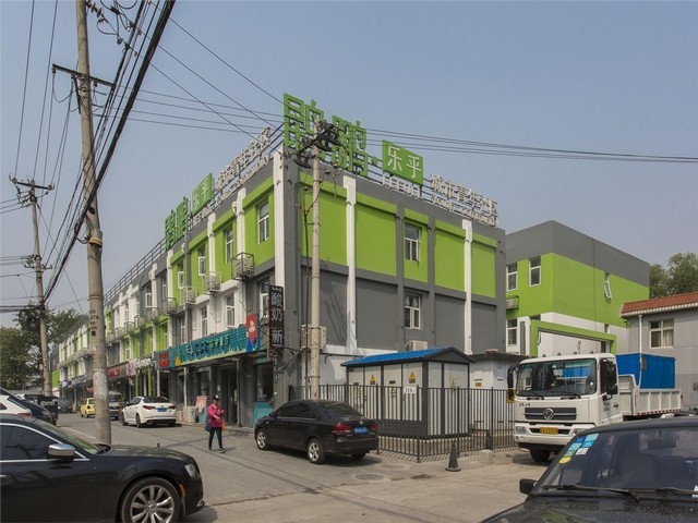 75后情感咨询软件推荐